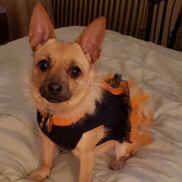 Meet your Posher, Michele - Picture 3 of 3